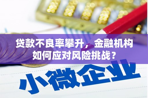 昭阳贷款不良率攀升，金融机构如何应对风险挑战？