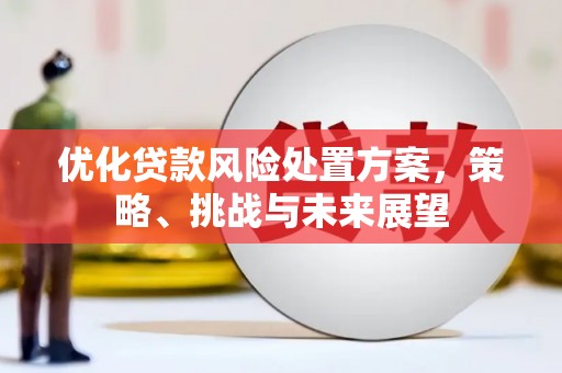 昭阳优化贷款风险处置方案，策略、挑战与未来展望