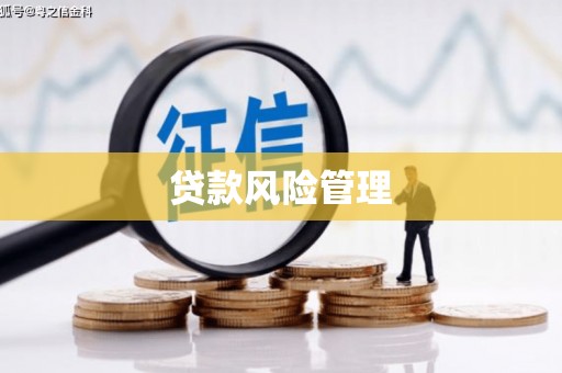 昭阳贷款风险管理