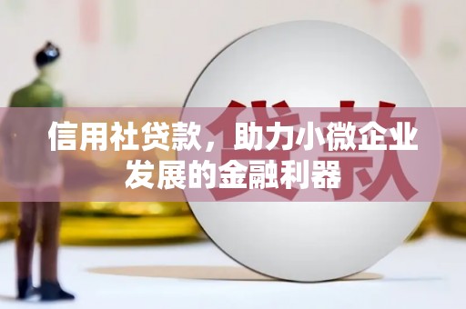昭阳信用社贷款，助力小微企业发展的金融利器