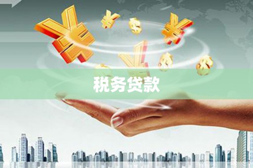昭阳税务贷款