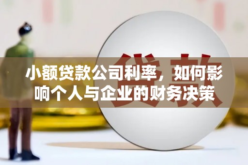 昭阳小额贷款公司利率，如何影响个人与企业的财务决策