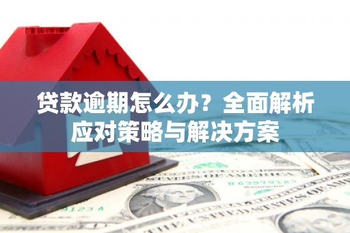 昭阳贷款逾期怎么办？全面解析应对策略与解决方案