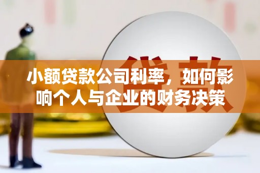 昭阳小额贷款公司利率，如何影响个人与企业的财务决策