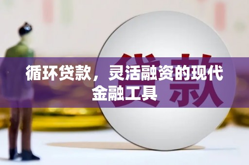 昭阳循环贷款，灵活融资的现代金融工具