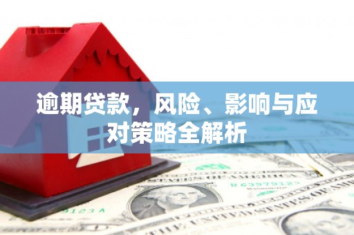 昭阳逾期贷款，风险、影响与应对策略全解析
