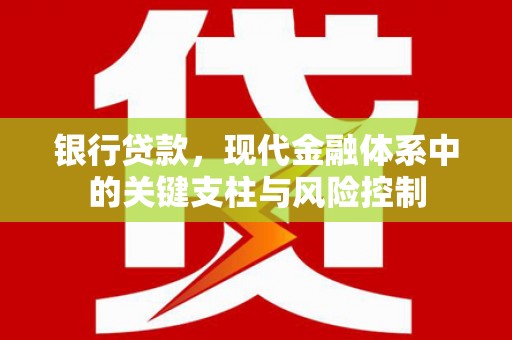 昭阳银行贷款，现代金融体系中的关键支柱与风险控制