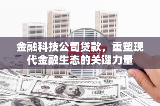 昭阳金融科技公司贷款，重塑现代金融生态的关键力量