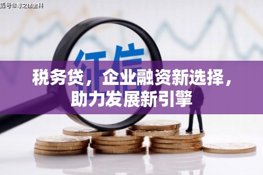 昭阳税务贷，企业融资新选择，助力发展新引擎