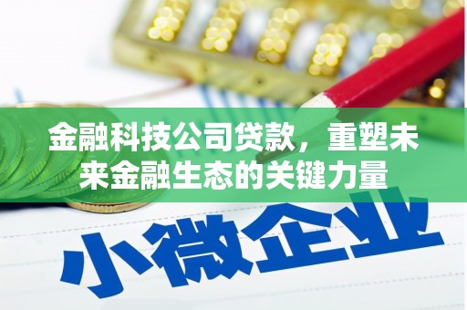 昭阳金融科技公司贷款，重塑未来金融生态的关键力量