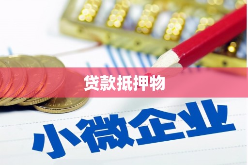 昭阳贷款抵押物