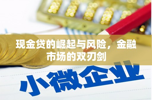 昭阳现金贷的崛起与风险，金融市场的双刃剑
