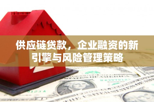 昭阳供应链贷款，企业融资的新引擎与风险管理策略