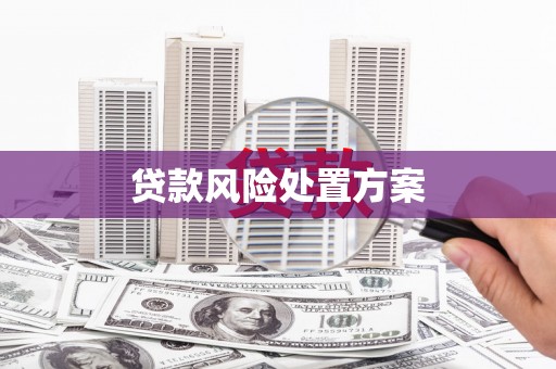 昭阳贷款风险处置方案