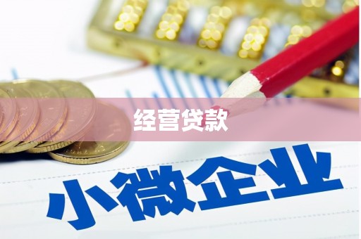 昭阳经营贷款