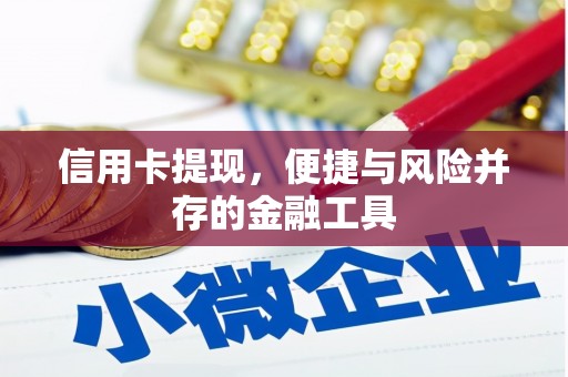 昭阳信用卡提现，便捷与风险并存的金融工具