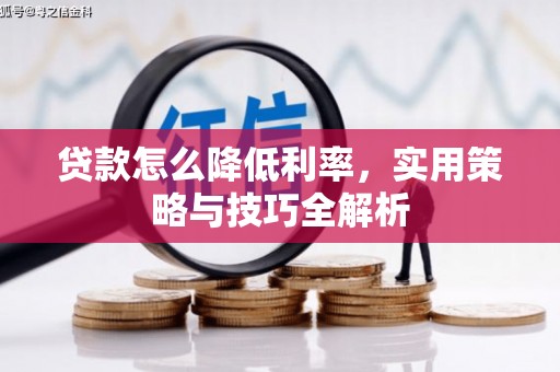 昭阳贷款怎么降低利率，实用策略与技巧全解析