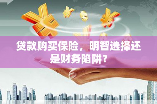 昭阳贷款购买保险，明智选择还是财务陷阱？