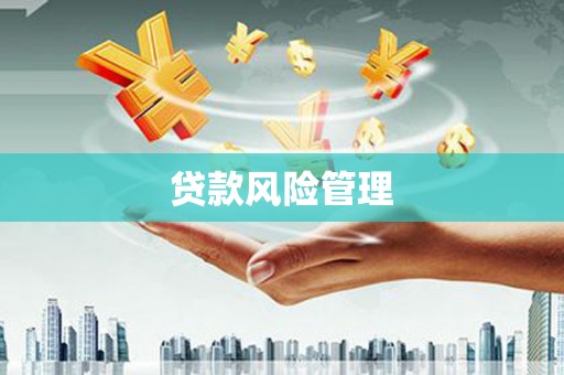 昭阳贷款风险管理