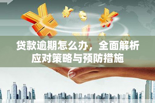 昭阳贷款逾期怎么办，全面解析应对策略与预防措施