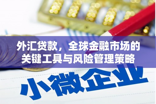 昭阳外汇贷款，全球金融市场的关键工具与风险管理策略