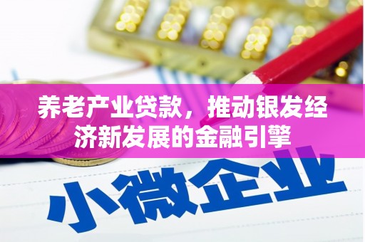 昭阳养老产业贷款，推动银发经济新发展的金融引擎