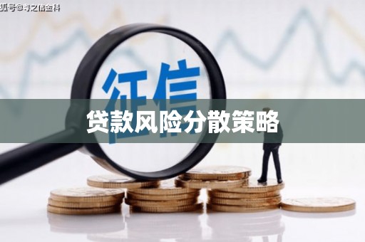 昭阳贷款风险分散策略