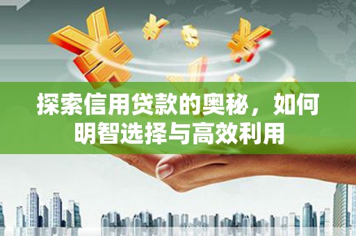 昭阳探索信用贷款的奥秘，如何明智选择与高效利用