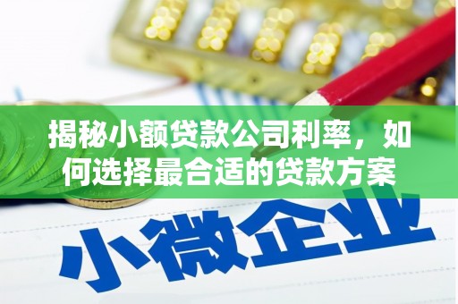 昭阳揭秘小额贷款公司利率，如何选择最合适的贷款方案