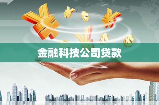 昭阳金融科技公司贷款
