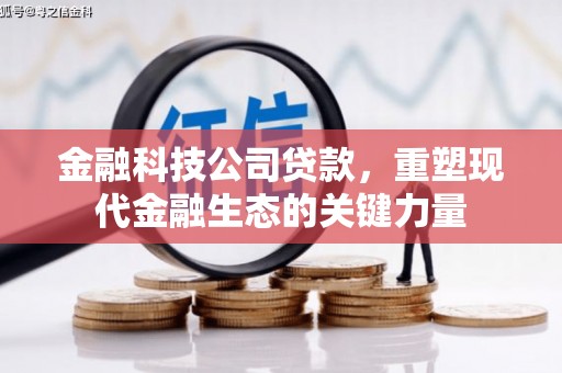 昭阳金融科技公司贷款，重塑现代金融生态的关键力量