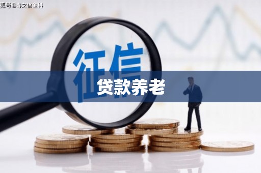 昭阳贷款养老