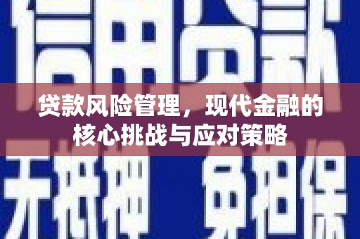 昭阳贷款风险管理，现代金融的核心挑战与应对策略