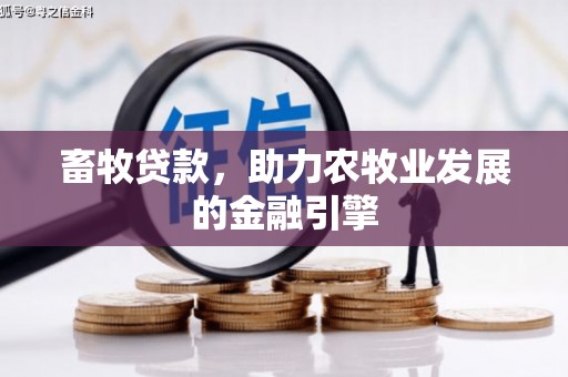 昭阳畜牧贷款，助力农牧业发展的金融引擎