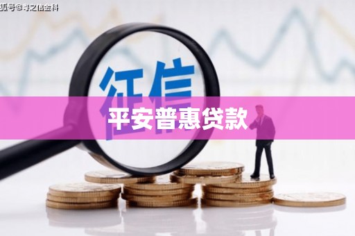 昭阳平安普惠贷款