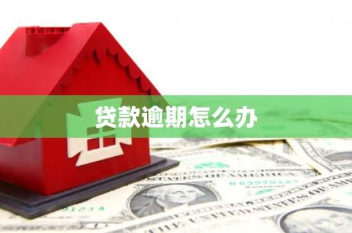 昭阳贷款逾期怎么办