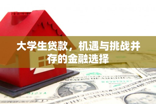 昭阳大学生贷款，机遇与挑战并存的金融选择