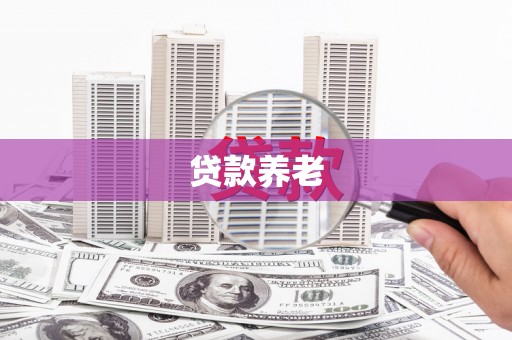 昭阳贷款养老
