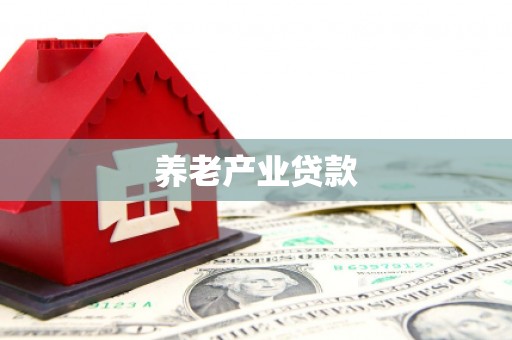 昭阳养老产业贷款