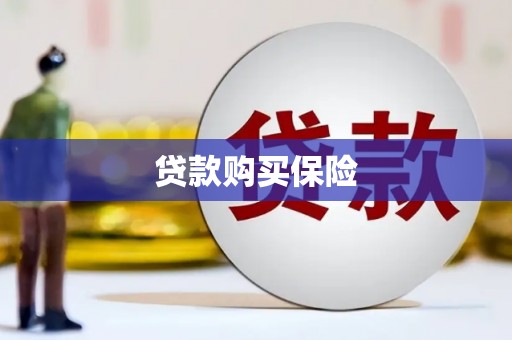 昭阳贷款购买保险