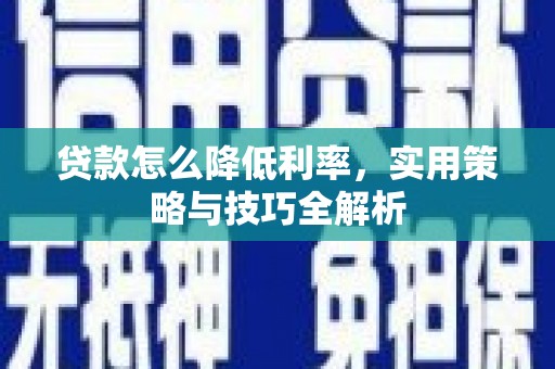 昭阳贷款怎么降低利率，实用策略与技巧全解析