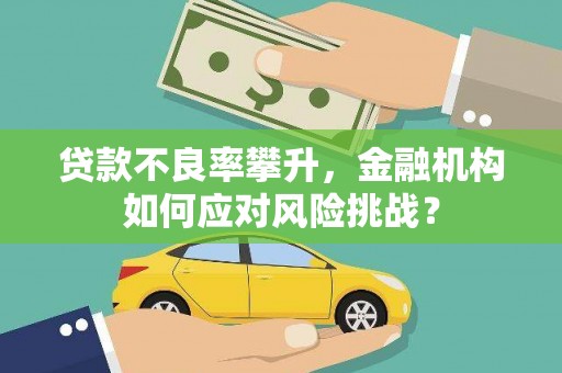 昭阳贷款不良率攀升，金融机构如何应对风险挑战？