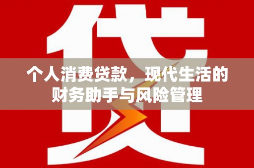 昭阳个人消费贷款，现代生活的财务助手与风险管理