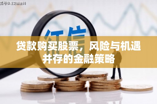 昭阳贷款购买股票，风险与机遇并存的金融策略