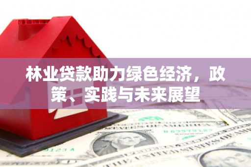 昭阳林业贷款助力绿色经济，政策、实践与未来展望