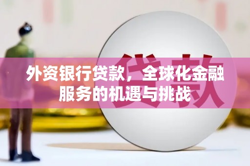 昭阳外资银行贷款，全球化金融服务的机遇与挑战