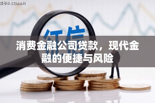 昭阳消费金融公司贷款，现代金融的便捷与风险