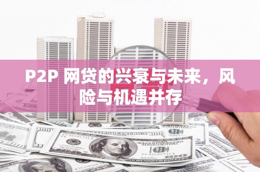 昭阳P2P 网贷的兴衰与未来，风险与机遇并存