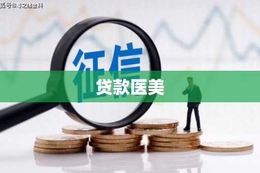 昭阳贷款医美