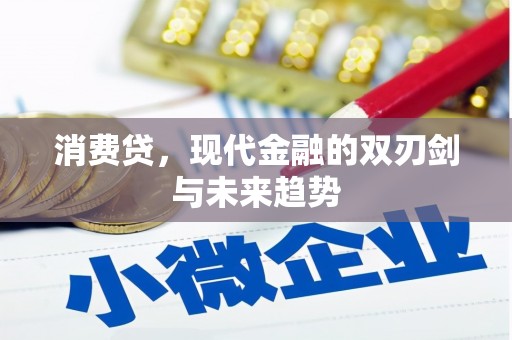 昭阳消费贷，现代金融的双刃剑与未来趋势